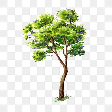 pngtree premium downloader|Png Tree Images .
